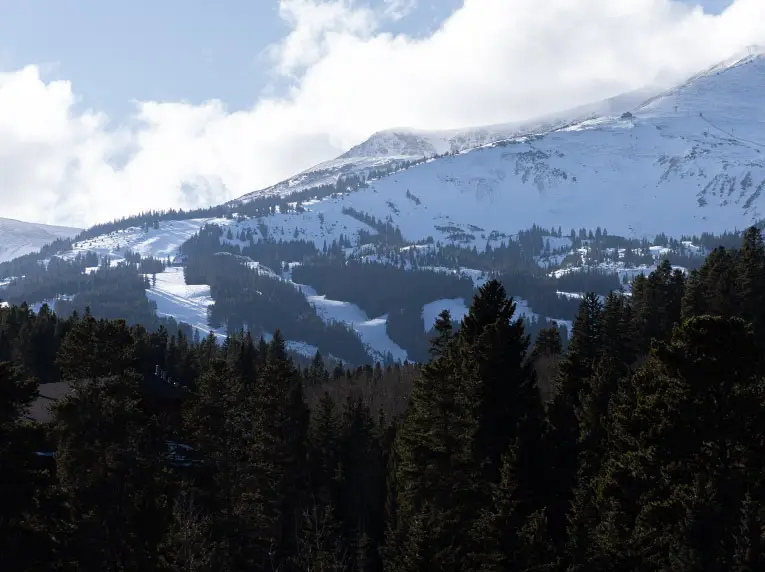 mrchauffeurcolorado | private shuttle