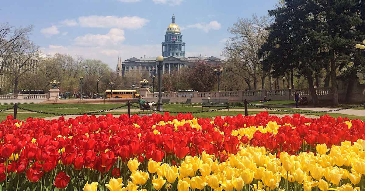 It’s important to be careful while choosing your transportation method from Denver International Airport to your desired mountain destination. First of all, there are several companies that provide shuttle services from DIA to Vail, Beaver Creek, Breckenridge, Aspen and more. Due to the high demand for transportation services throughout the Rocky Mountains, there are many options.