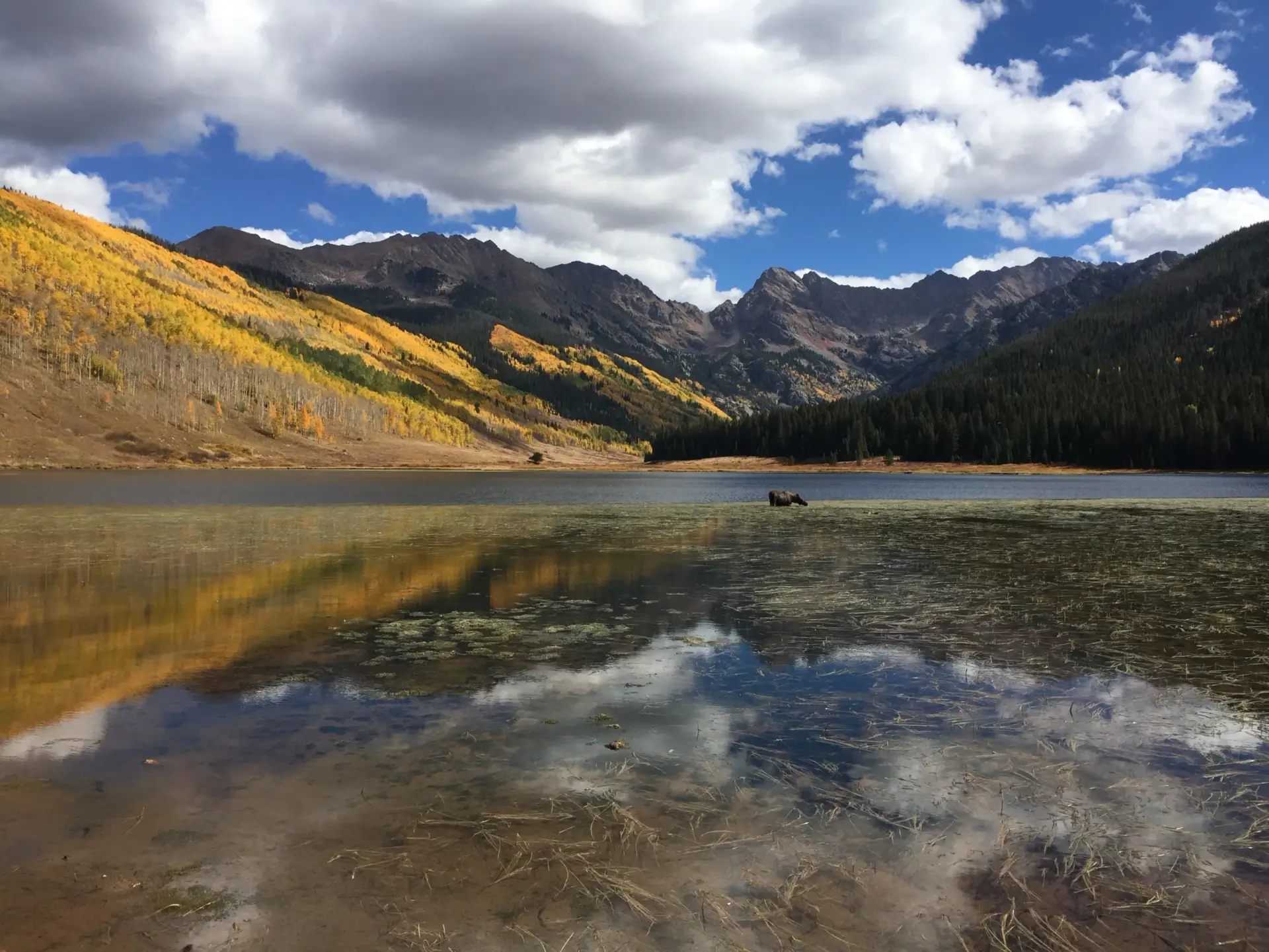 mrchauffeurcolorado | private shuttle