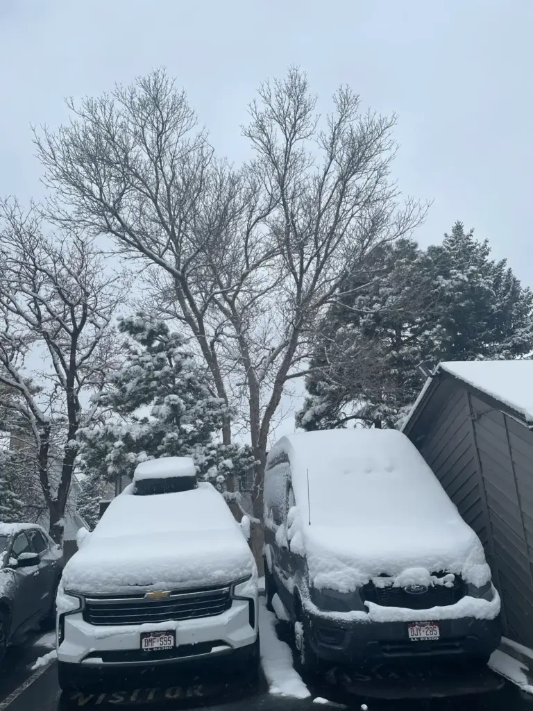 Snow-covered SUV and private shuttle van from our fleet. Professional winter mountain car service by Mr. Chauffeur Colorado.