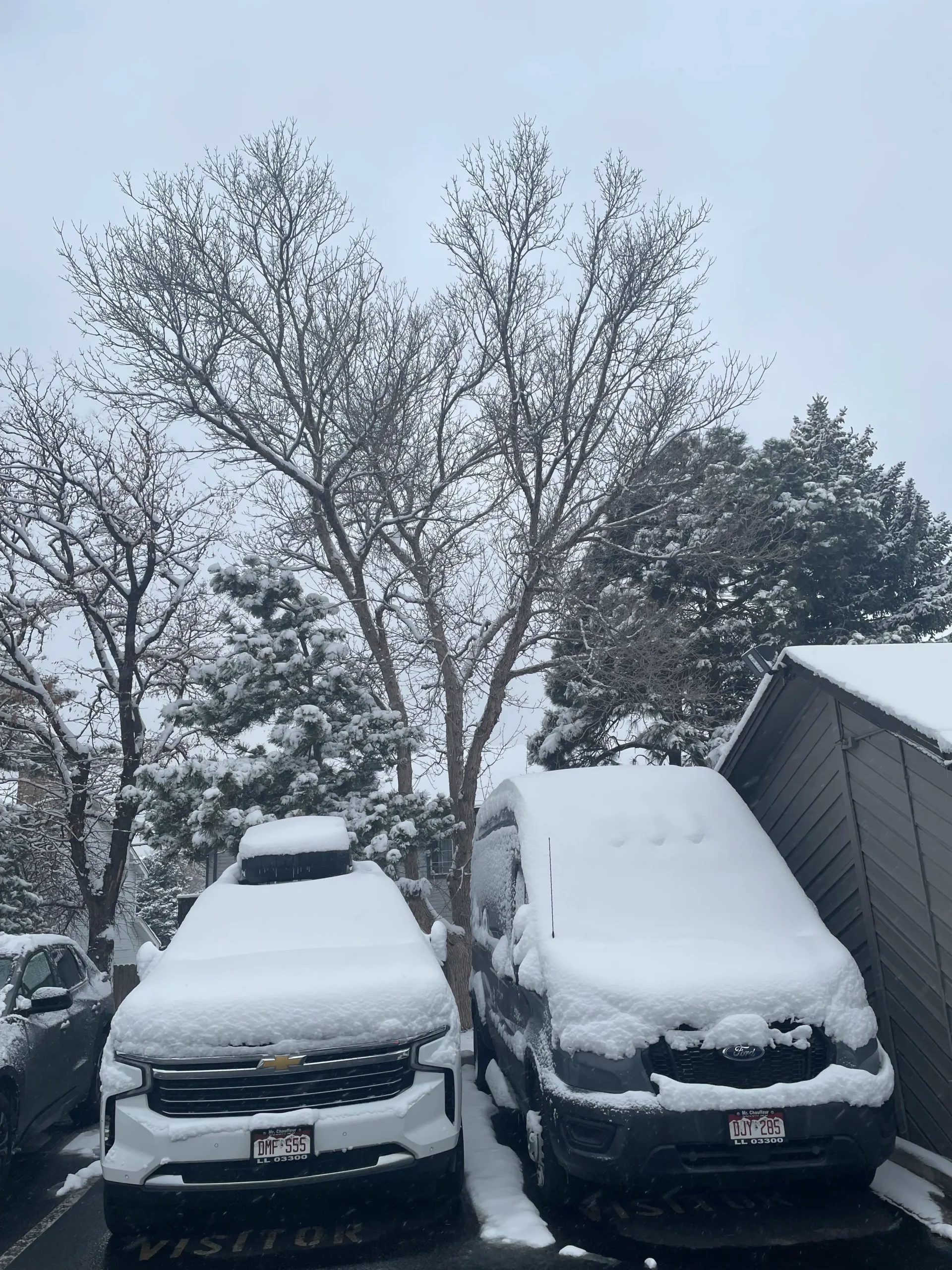 Snow-covered SUV and private shuttle van from our fleet. Professional winter mountain car service by Mr. Chauffeur Colorado.