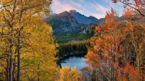 Colorado Fall Foliage 2026: Best Scenic Drives from Denver